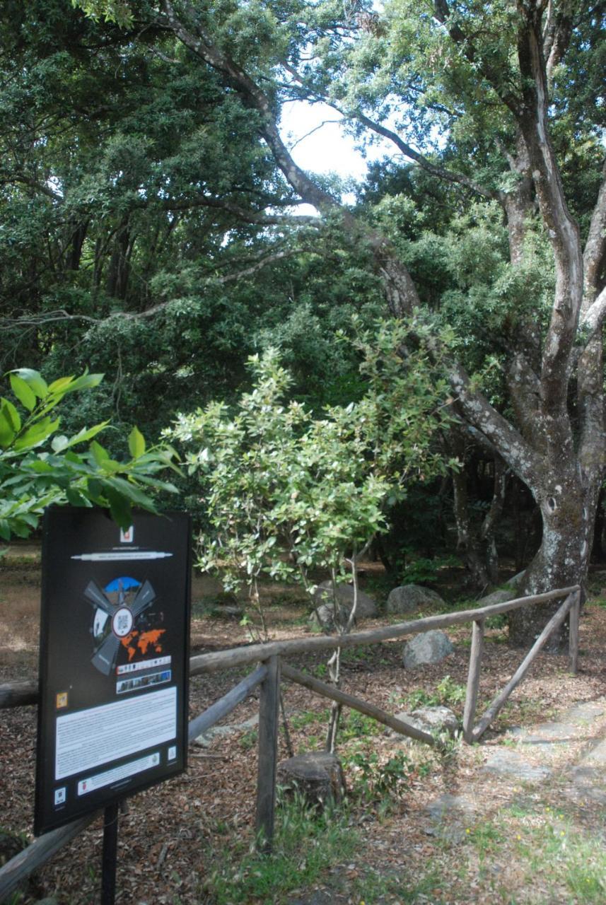 Hotel Bosco Selene 拉努塞伊 外观 照片